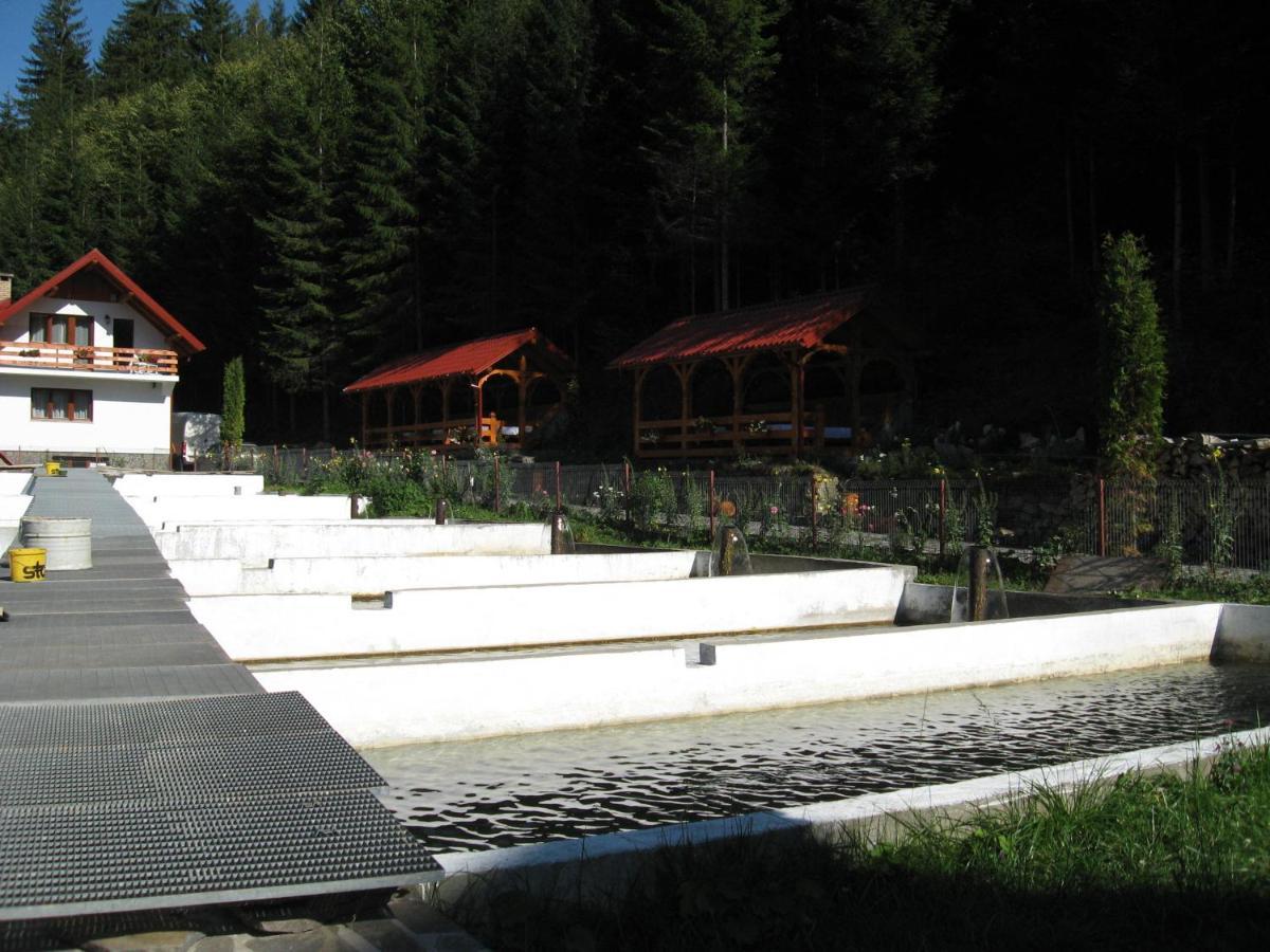 Hotel Paltinis Statjunea Borsa Екстер'єр фото