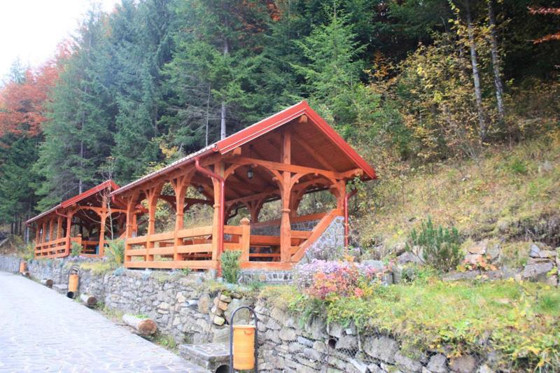 Hotel Paltinis Statjunea Borsa Екстер'єр фото