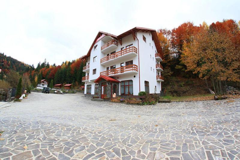 Hotel Paltinis Statjunea Borsa Екстер'єр фото